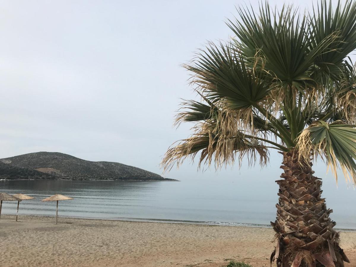 Cosy Studio 2 Minutes Walking From The Beach 아나비소스 외부 사진
